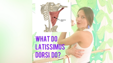Learning about our Back: Latissimus Dorsi